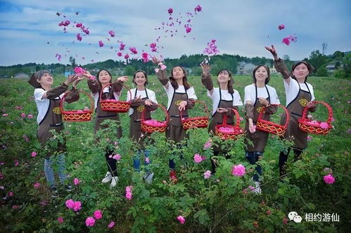 母親節(jié)花語獻禮 深圳游仙七朵仙花，獻給最美的她